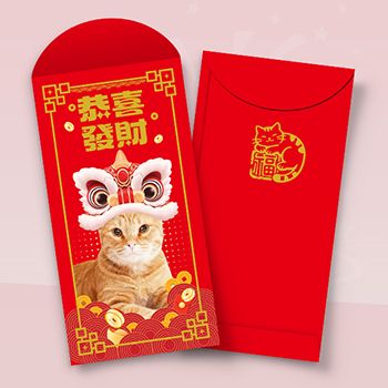 紅色喜慶模板，貓與舞獅元素，含福字及中式花紋 
